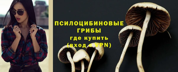 эйфоретик Пролетарск
