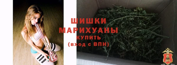 ПСИЛОЦИБИНОВЫЕ ГРИБЫ Аркадак