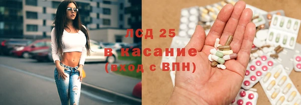 ПСИЛОЦИБИНОВЫЕ ГРИБЫ Аркадак