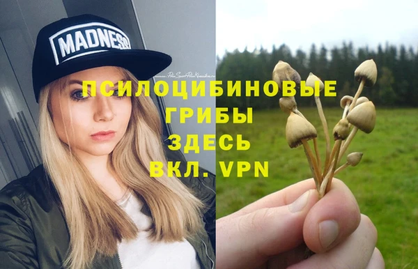 каннабис Арсеньев