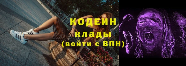 ПСИЛОЦИБИНОВЫЕ ГРИБЫ Аркадак