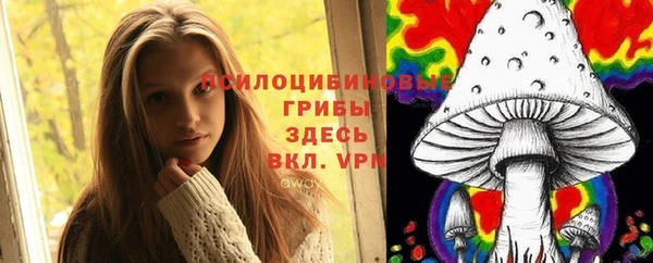 ПСИЛОЦИБИНОВЫЕ ГРИБЫ Аркадак