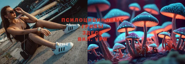 герыч Протвино