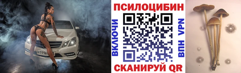 Галлюциногенные грибы MAGIC MUSHROOMS  MEGA маркетплейс  Асино 